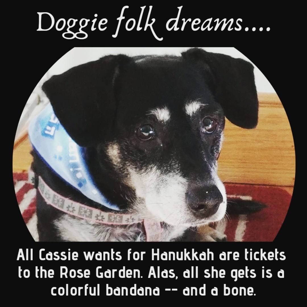 OK, so we don't have a show until Jan. 26 (Robert Jones, yeah!), but Cassie knows you can get tickets for any of our shows on our website and they make great holiday gifts. Happy Hanukkah to all and to all a good night!