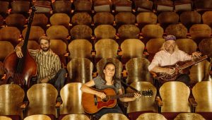 Heather Pierson Acoustic Trio